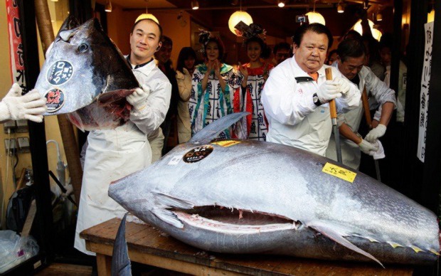 Огромный тунец был продан по достойной цене