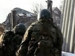 В Бразилии нейтрализован кот рецидивист В Бразилии нейтрализован кот рецидивист